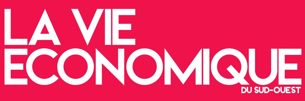 logo Vie-economique.com