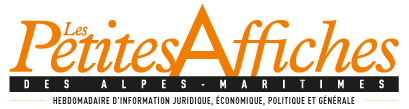 logo Petitesaffiches.fr
