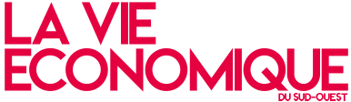 logo vie-economique.com