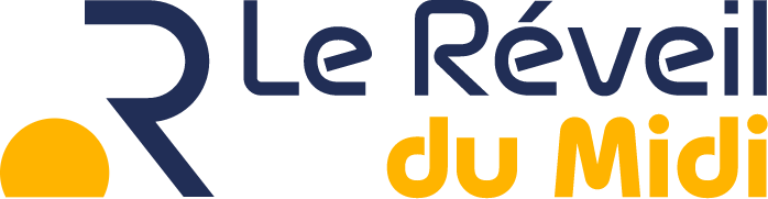 logo lereveildumidi.fr