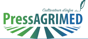 logo pressesagrimed.fr