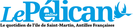 logo lepelican-journal.com