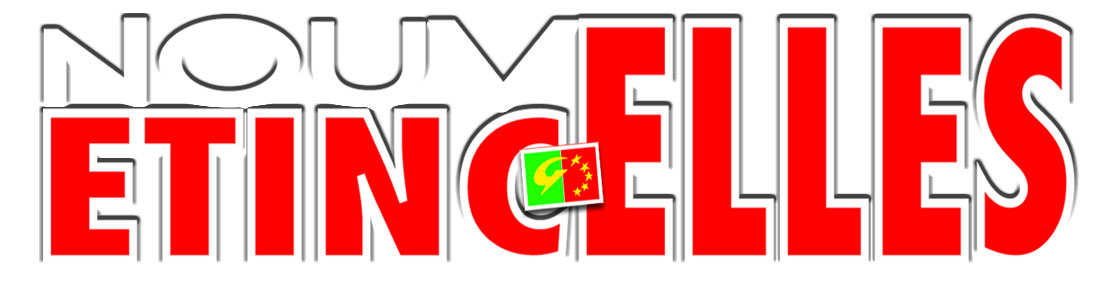 logo les nouvelles étincelles